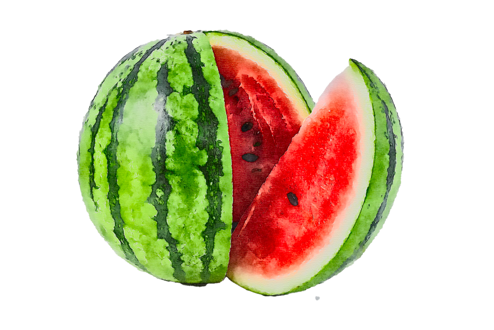 Melone - Veggie-Sisters